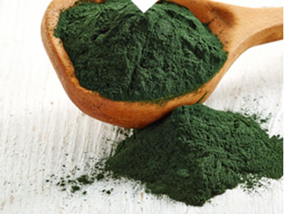 Chlorella