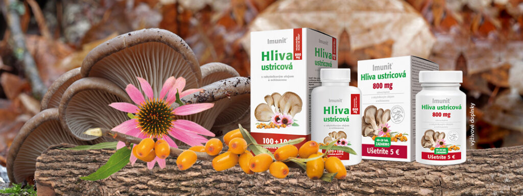 Hliva ustricová 800 mg s rakytníkovým olejom a echinaceou